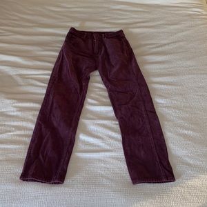 purple corduroy pants!